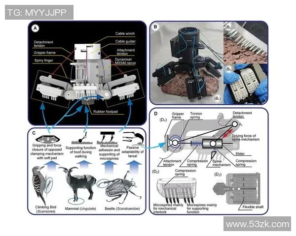 攀岩战术解析：西安攀岩队的防守与进攻策略研究